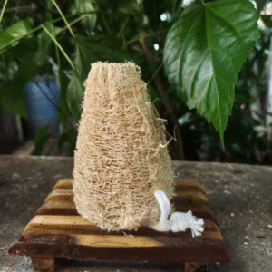 Natural Loofah (Normal)