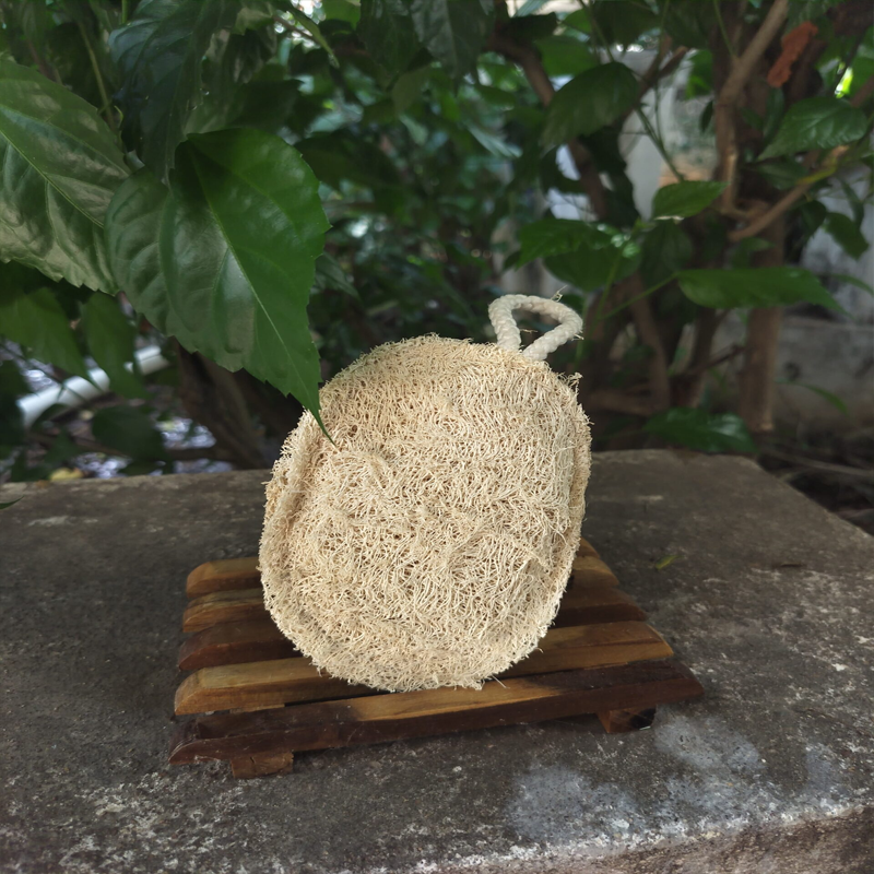 Natural Loofah (Oval)