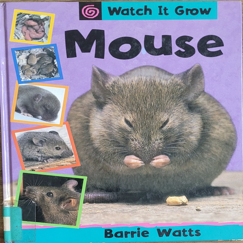 Watch it Grow - Mouse