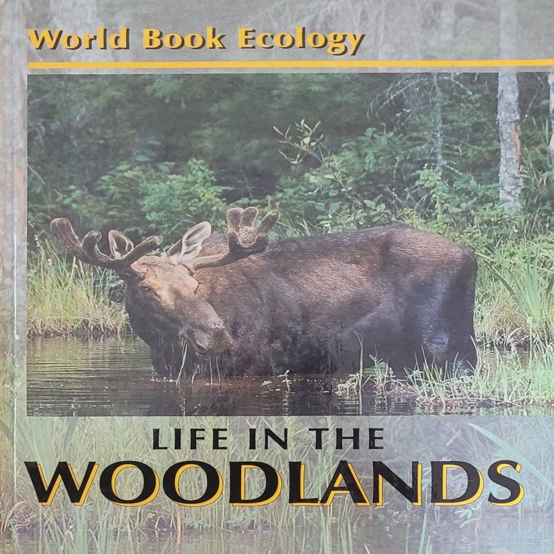 World Book Ecology: Life in the Woodlands
