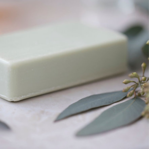 Shea Aloe Soap