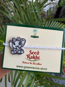 Elephant + Seed Rakhi