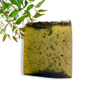 Neem & Tea Tree Bathing Bar 100g
